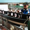 Żywiec: Spółka rozwija zbiórkę butelek