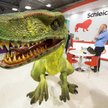 Niemiecki producent popularnych zabawek na sprzedaż