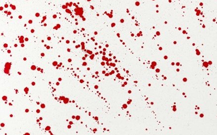 Piotr Uklański, Powstanie Warszawskie 1944, Sadyba 2008 r.