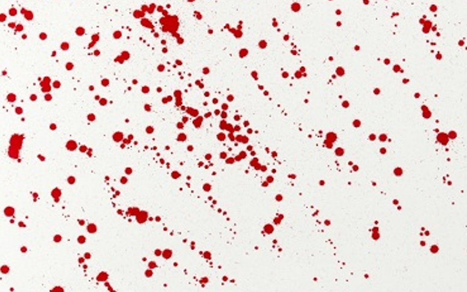 Piotr Uklański, Powstanie Warszawskie 1944, Sadyba 2008 r.