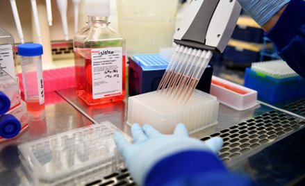 Firmy farmaceutyczne w 2017 roku odrzuciły propozycję pracy nad szczepionką
