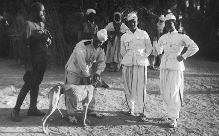 Trypolitania (włoska kolonia) 1931r., Podróżnik z grupą wojskowych. Jeden z nich zapina obrożę psu r
