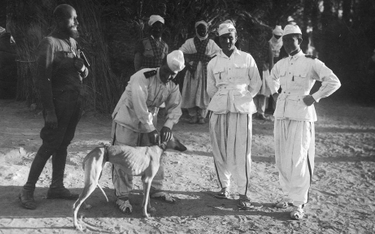 Trypolitania (włoska kolonia) 1931r., Podróżnik z grupą wojskowych. Jeden z nich zapina obrożę psu r