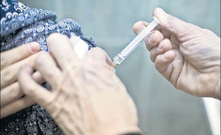 Polowanie na króliki