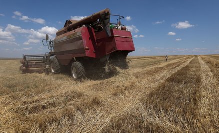 Porozumienie zbożowe otworzyło szlak przez Morze Czarne dla żywności z Ukrainy