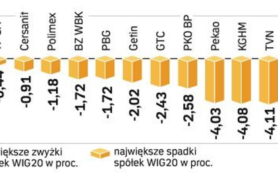 Silne spadki kursów akcji banków i spółek paliwowych pociągnęły w dół wskaźnik WIG20. Tylko czterem 