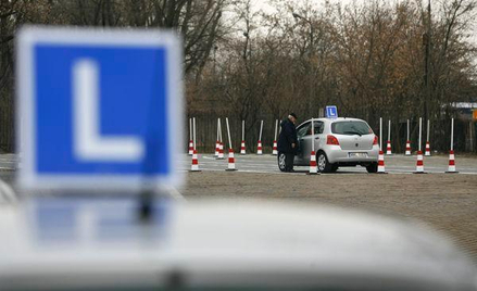 Od 11 lutego egzamin teoretyczny ma być trudniejszy