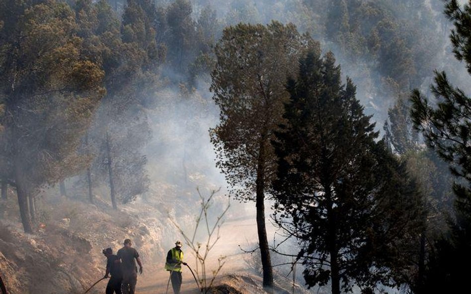 Gaszenie pożaru pod Jerozolimą
