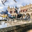 Niektórych Krakowian i ptaki połączyła szczególna więź. Mają swoje ulubione miejsca, gdzie pomimo wa
