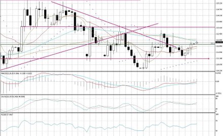 Wykres dzienny BOSSA EUR