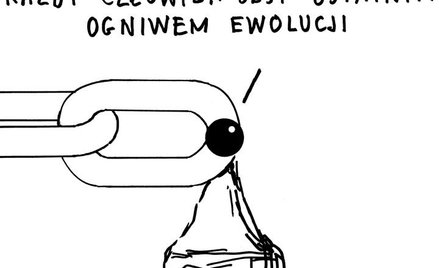 Komentarz rysunkowy