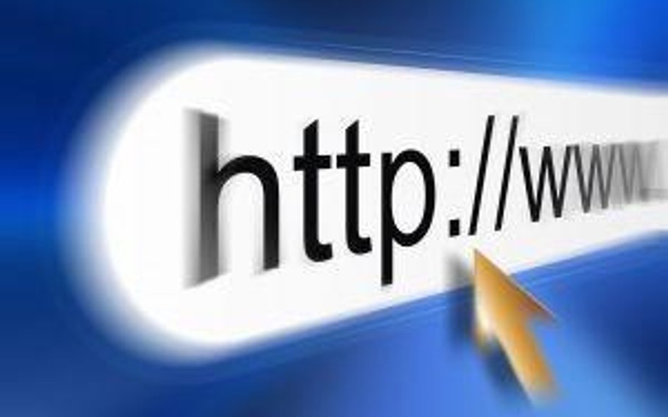 9,4 mln gospodarstw domowych w Polsce kupiło już dostęp do Internetu. 400 tys. w ciągu ostatniego ro
