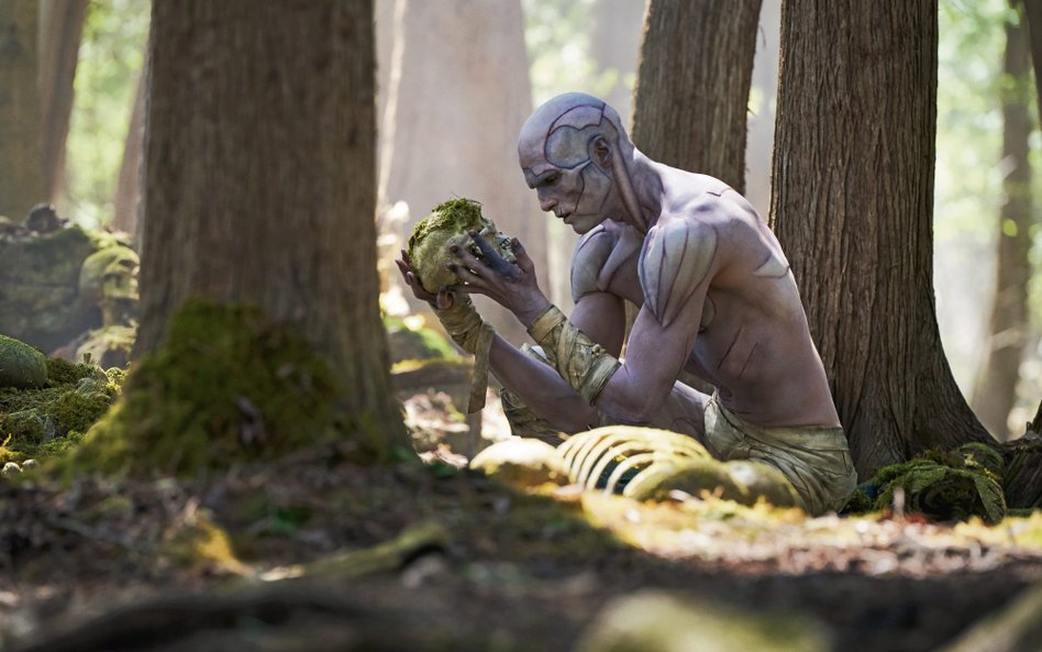 W Polsce „Frankenstein” Guillermo Del Toro w ogóle nie był wyświetlany w kinach. Trafił od razu do N