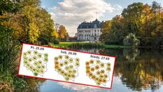 W weekend pogoda się poprawi / na zdjęciu: Pałac w Pszczynie
