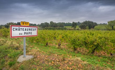 Wysokie ceny niektórych win spowodowane są nie tylko marką, ale także procesem produkcji czy wielkoś