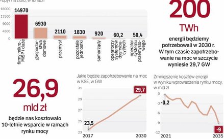 Małe i średnie firmy oraz gospodarstwa poniosą główny ciężar rynku mocy