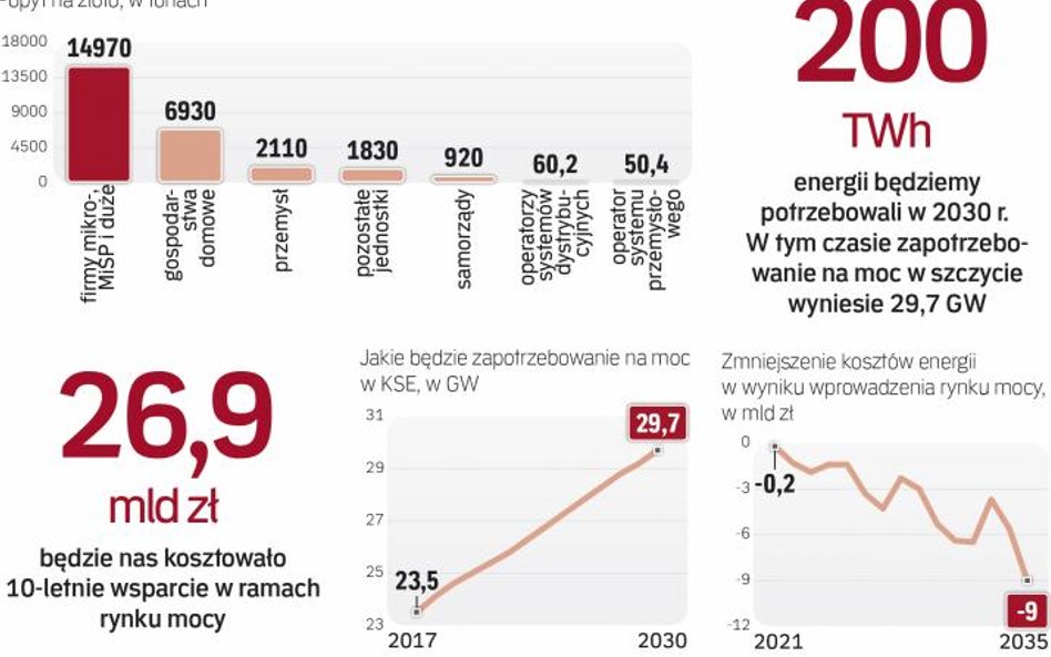 Małe i średnie firmy oraz gospodarstwa poniosą główny ciężar rynku mocy