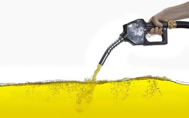 Remanent: paliwa w firmowym zbiorniku nie ujmuje się w spisie z natury