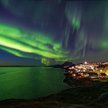 Zarza polarna, Nuuk, Grenlandia