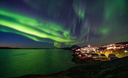 Zarza polarna, Nuuk, Grenlandia