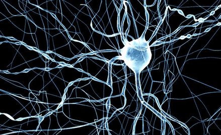 Symulacja ma w przyszłości pozwolić na odtworzenie działania ludzkiego mózgu.