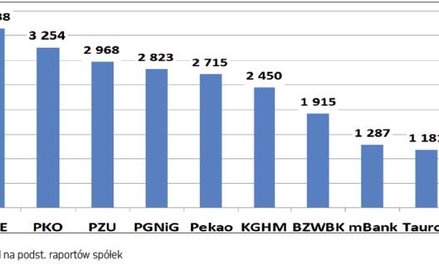 Rys. 1. Spółki z WIG20/mWIG40 o największych zyskach netto w całym 2014 roku (mln zł)