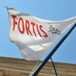 Fortis w rękach BNP Paribas