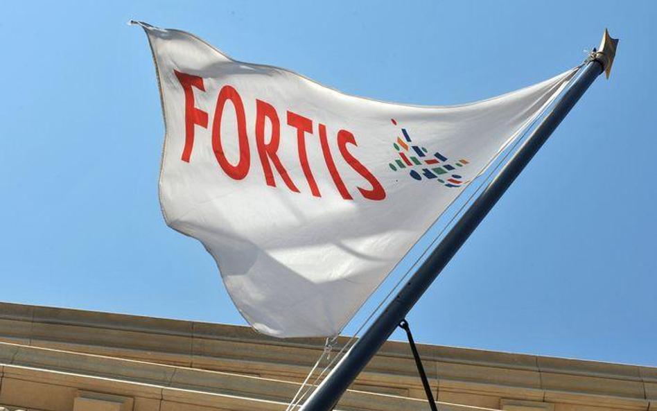 Fortis w rękach BNP Paribas