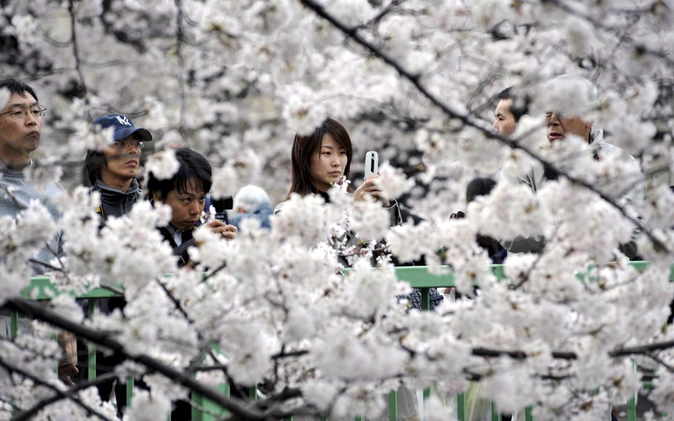 Turyści sikali w ogrodach – Japonia odwołuje festiwal, który miał ją promować