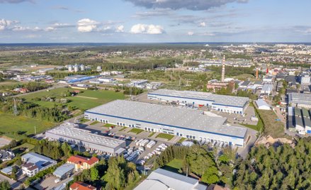 Grupa Accolade stabilna w Polsce