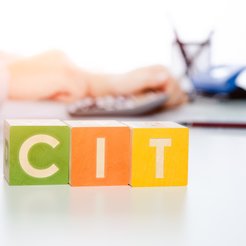 Kiedy nie warto decydować się na estoński CIT