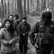 "Zielona granica". Film Agnieszki Holland zostanie pokazany w Watykanie