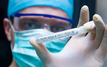 Koronawirus: Bezpłatne testy dla pracowników sezonowych z zagranicy