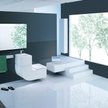 W+W (washbasin + watercloset) - umywalka i toaleta w jednym. Dobry Wzór 2010 w dziedzinie Sfera Domu