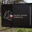PGG ze stratami i przestrogą biegłego rewidenta