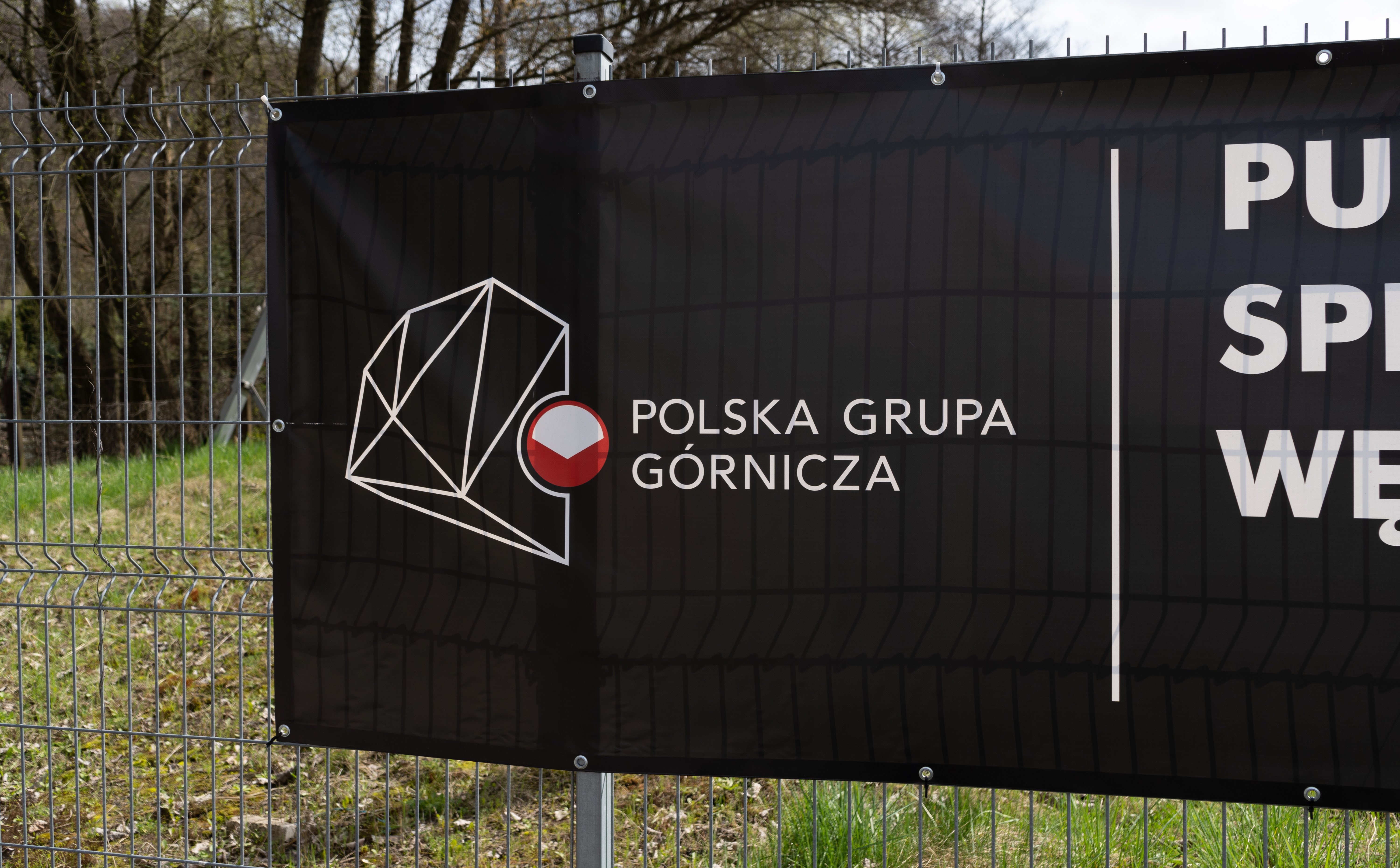 PGG ze stratami i przestrogą biegłego rewidenta