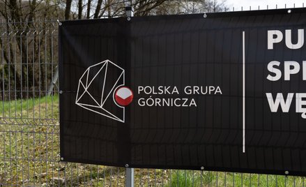 PGG ze stratami i przestrogą biegłego rewidenta