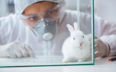 Humanitarna śmierć dla zwierząt laboratoryjnych
