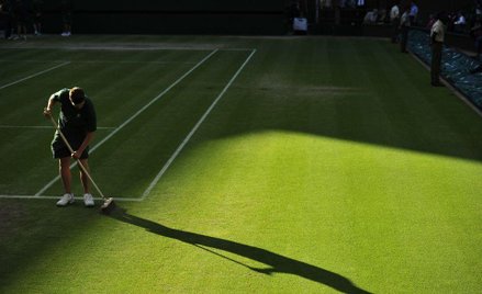 W wimbledońskiej trawie, koszonej do wysokości ośmiu milimetrów, jest pewna tajemnica
