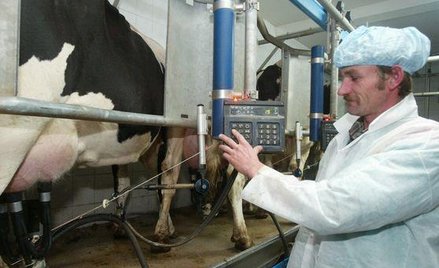 Kto weźmie miliony na mleko