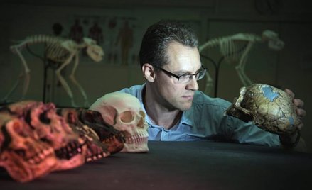 Dr Alistair Evans pośród czaszek praludzi i ludzi