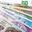Mały ZUS plus nadal z problemami? Uwaga, można stracić ulgi w składkach