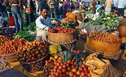 Korespondencja Pauliny Wilk z Kalkuty