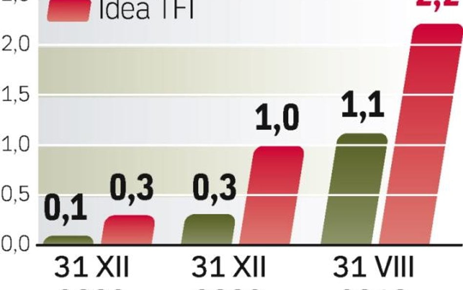 Aktywa przyszłych debiutantów. W I połowie 2010 r. zysk netto Idei sięgnął 1,5 mln zł, a Quercusa 1,