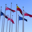 Obywatel Unii Europejskiej może głosować w wyborach samorządowych