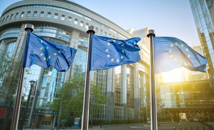 Nowy Bauhaus bez nas. Polska wyłączona z budowy zielonej Europy