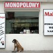 Uchwała musi definiować pojęcia