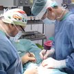 Coraz więcej lekarzy przestaje rozumieć funkcję nauki i pojmuje swój zawód technicznie, fałszywie - 