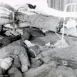 Ofiary rzezi dokonanej przez UPA. Maciejów na Wołyniu, luty 1944 r.