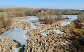 Jeziorko Powsinkowskie jest starorzeczem Wisły znajdującym się po lewej stronie rzeki
